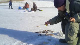 Ловля карася на самодельные мормышки со льда.