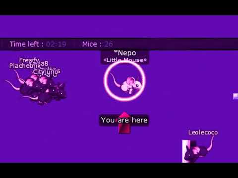 transformice mods transformice mods