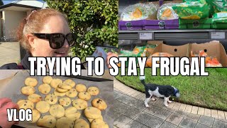 It's ALL happening this week / VLOG