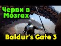 Черви в мозгах - Baldur's Gate 3