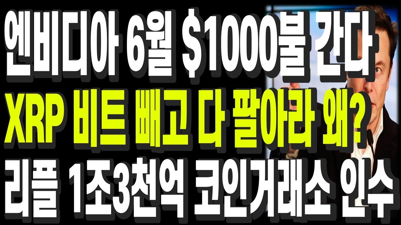 비트코인 리플 도지코인 이더리움 엔비디아 6월 $1000불 간다 XRP 비트 빼고 다 팔아라 왜? 리플 1조3천억 코인거래소 인수 -  YouTube