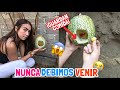 ENCONTRAMOS CASITA DE UN DUENDE 🧝🏻‍♀️🏠 *tienen mini comida* 🥘 ¡TESTIMONIOS!