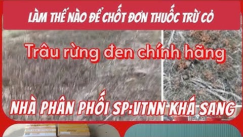 Làm thế nào để đặt mua thuốc trừ cỏ trâu rừng đen chính hãng tại nhà phân phối.Vtnn Khá Sang.