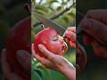 cute AI baby eating fruit ASMR