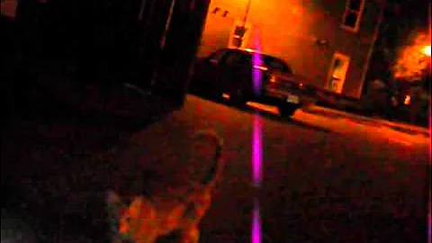 I put the Feline  on the Chainwax