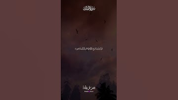 🌿 لحظات من الصفاء والنور مع تلاوة الشيخ عمر قريطنة ✨