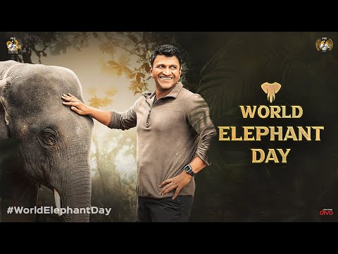 World Elephant Day | ಆನೆಗಳ ದಿನ | Gandhada Gudi - A Tribute to Elephants | Dr Puneeth Rajkumar | PRK
