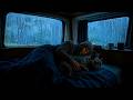 Rain Sounds for Sleeping - Cozy Car Rain by a Foggy Forest with Gentle Thunder All Night
