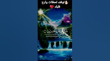 ماهر المعقلي وماتيسر من سورة المنافقون *اكتب شئ تؤجر عليه