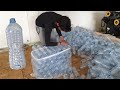 Plastic Bottles Manufacturing Process | How to Make Plastic Water Bottles in Factory Process