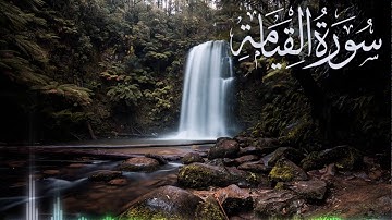سورة القيامة / صوت جميل ما شاء الله