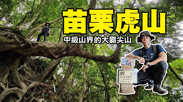 苗栗虎山 |中級山界的大霸尖山！我可能不會愛你的拍攝場景！水雲瀑布也能直接從這進入嗎？ - 天天要聞