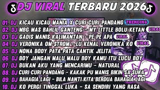 DJ TIKTOK TERBARU 2026-🎵DJ KICAU MANIA X CURI CURI PANDANG 🎵DJ MBG MAS BAHLIL GANTENG FULL ALBUM