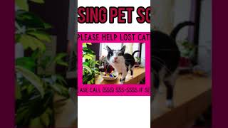 Missing pet scam exposed