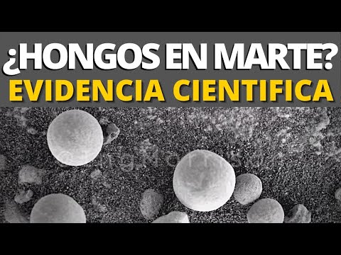 Vídeo: Se Deben Buscar Rastros De Vida En Marte, Centrándose En El Vanadio, Dicen Los Científicos - Vista Alternativa