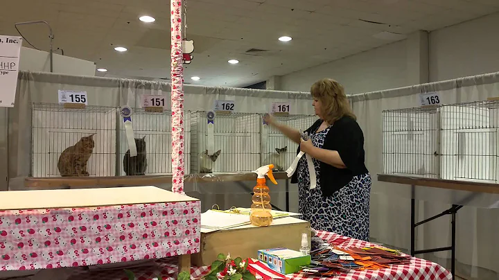Theresa Sweeney finals Kiyoshi at the CFA Hidden P...