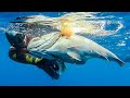 🔝SHOTS ONLY💥Spearfishing MASTERPIECE Part 2 |Spearfishing Life 🇬🇷 ✅