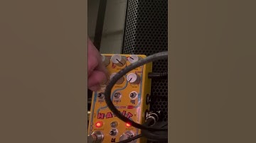 Filter delay Chase Bliss Habit + Devi Ever hypnomangler + Rucci 8-bit Power Synthesizer