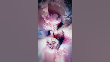 The Merge: Transition Loop #044/152