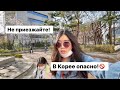 СЕЙЧАС НЕЛЬЗЯ ПРИЕЗЖАТЬ В КОРЕЮ! ЖЕСТЬ! НОВЫЕ ОГРАНИЧЕНИЯ! Виктория Ким