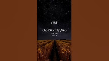 ياسر الدوسري…تلاوة تهز القلوب♡| #قرآن #تلاوة_خاشعة #ياسر_الدوسري #راحة_نفسية #تابعوني #اكسبلور #لايك