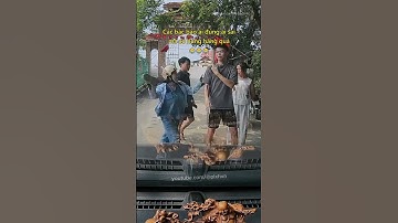 Các bác bảo ai đúng ai sai mà cô hung hăng quá 😂 #giaothong #vanhoagiaothong #phunu #luatgiaothong