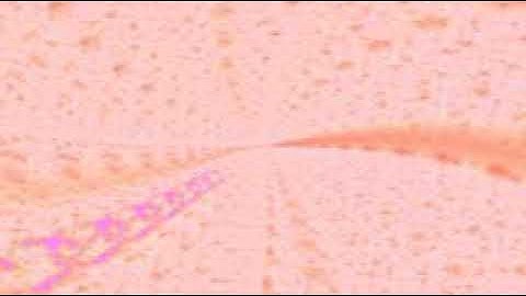 سورة الأنعام بصوت الشيخ القارئ ناصر القطامي