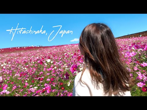 Ibaraki, A 2-hour drive from Tokyo | Japan travel vlog