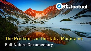 The Tatra Mountains  Wild at Heart | Full Documentary Episode 1