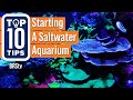 Top simple beginner tips for starting a saltwater reef aquarium setup