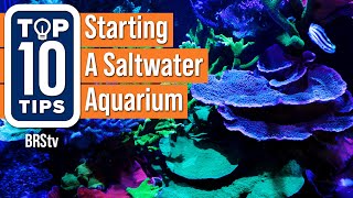 Top Simple Beginner Tips For Starting A Saltwater Reef Aquarium Setup screenshot 4