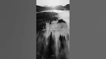 شايفين بتعمل فينا ايه غيبه الحبايب تامر عاشور 