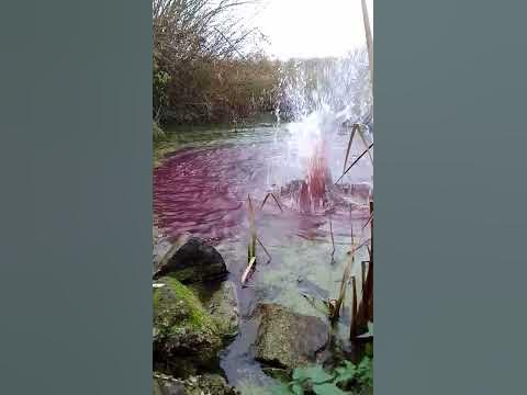 червона вода - YouTube