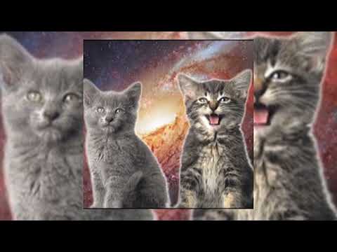 Space cats - Magic Fly (sped up)