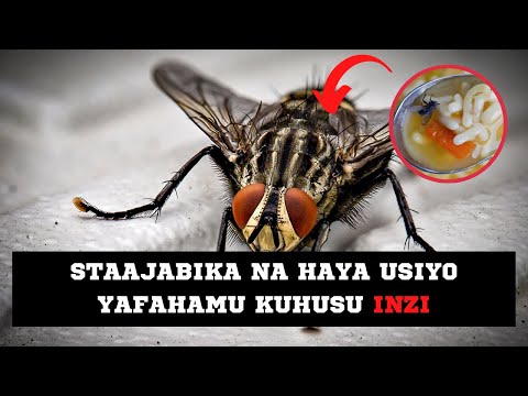 USIYO YAFAHAMU KUHUSU