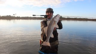 Wade fishing the lagoon at Horn Island #redfish #marsh #district3 #hornisland #backwater
