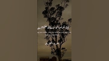 ماتيسر من سورة الشورى #الشيخ_يوسف_العيدروس