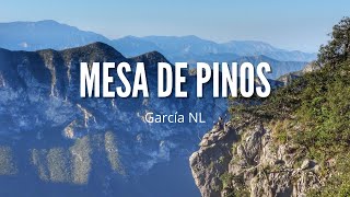 Mesa de Pinos ⛰ García NL | Cerro el fraile