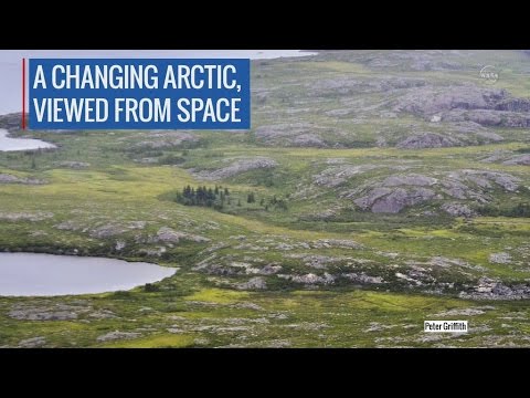 NASA Studies Details of a Greening Arctic