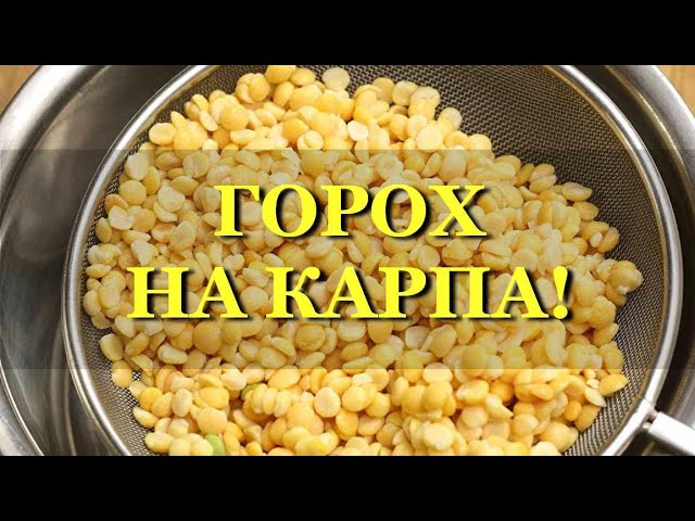 Каша из гороха и пшена для фидерной ловли