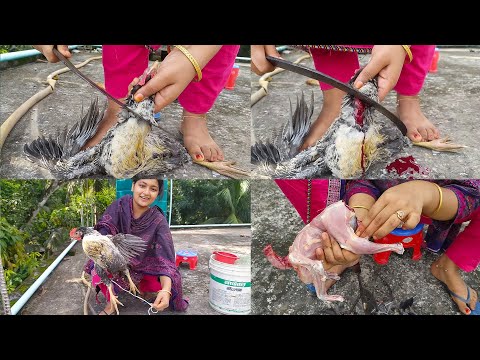Woman Slaughtering Chickens Woman Slaughtering Chickens