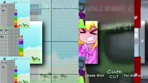 41 shuric scans with all slides.