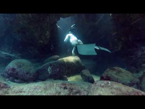 Sharks cove free diving