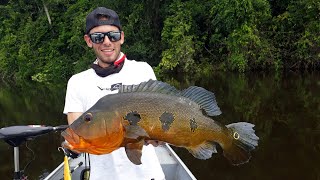 PODE PEDIR MÚSICA NO FANTÁSTICO? INACREDITÁVEL O TAMANHO DESSE TUCUNARÉ FOGO #shorts #pesca