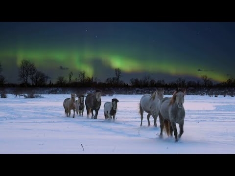 Video: Riley Talulah: Elulugu, Karjäär, Isiklik Elu