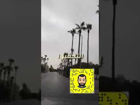 سنابات فيها افكار من كتاب الاقتصاد العجيب سليمان الطحيني