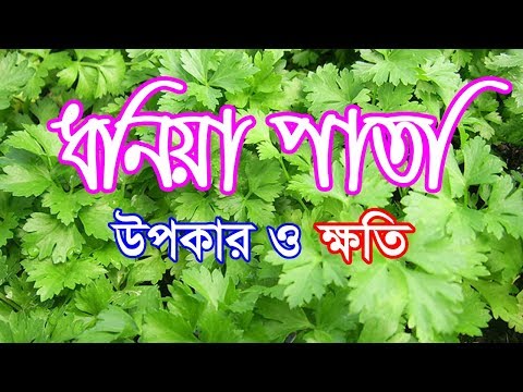 ভিডিও: ধনিয়া অপছন্দ করা কি জেনেটিক?