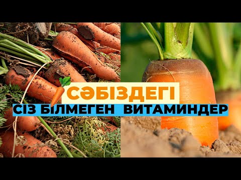 Бейне: Сәбіздегі соматикалық эмбриогенезді кім хабарлады?