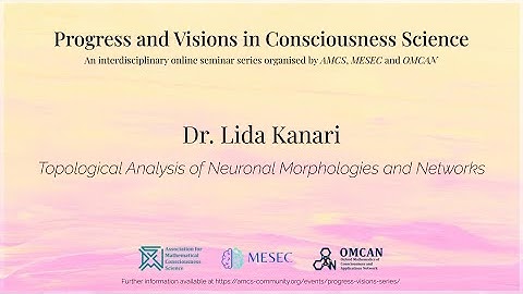 Topological Analysis of Neuronal Morphologies and Networks -- Lida Kanari