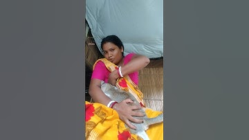 #modelingsangita #viralvideo #viralreels